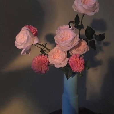 金沙官方版下载