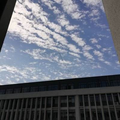 完美电竞平台手机app下载